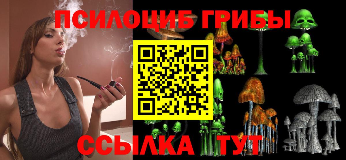 Шарыпово  Галлюциногенные грибы прущие грибы  Вход с VPN 